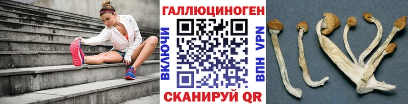 Псилоцибиновые грибы Magic Shrooms  Купить закладки  Сертолово 